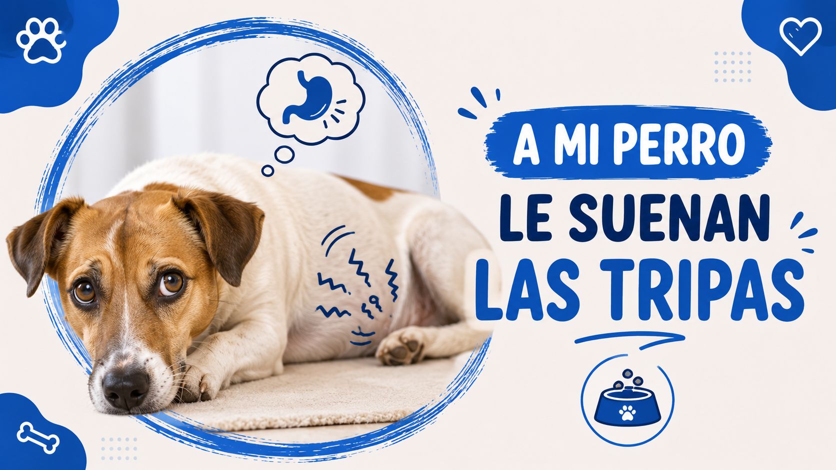 A mi perro le suenan las tripas
