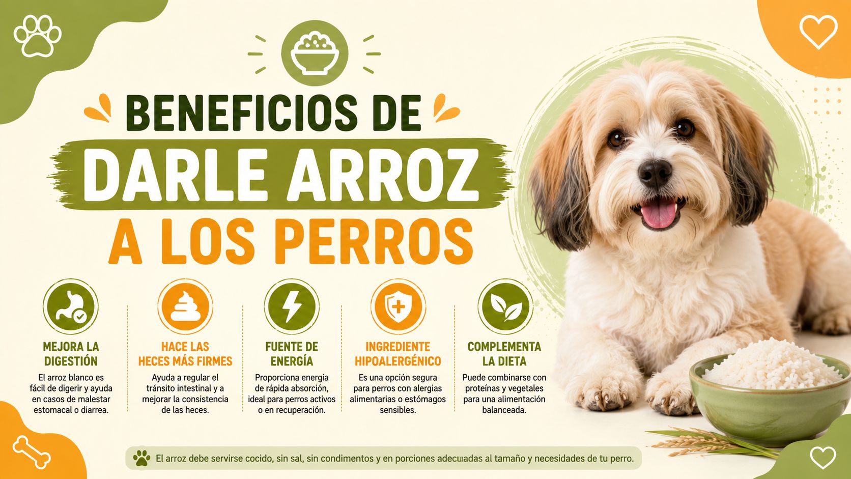 Beneficios de darle arroz a los perros