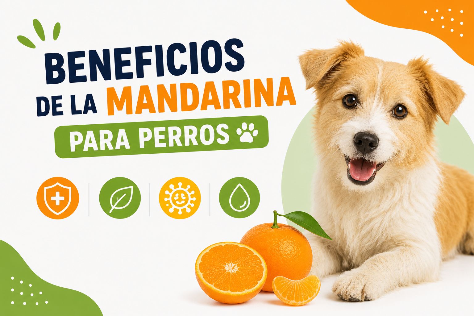 Beneficios de la mandarina para perros
