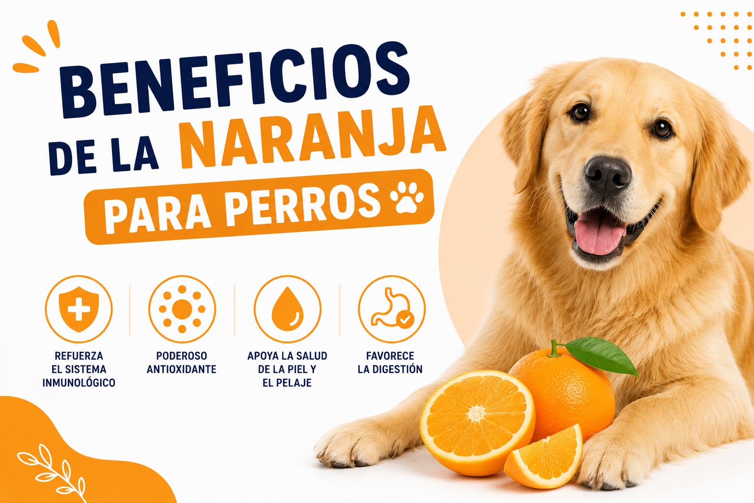 Beneficios de la naranja para perros