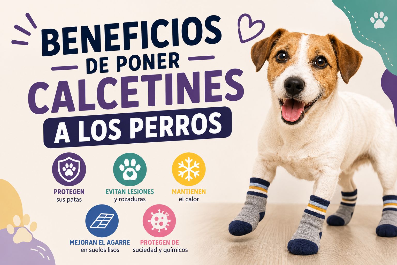 Beneficios de poner calcetines a los perros