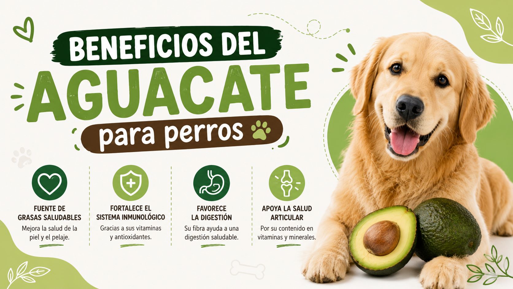 Beneficios del aguacate para perros