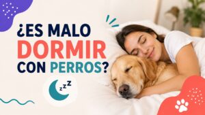 ¿Es malo dormir con perros? ¿Es malo dormir con perros?