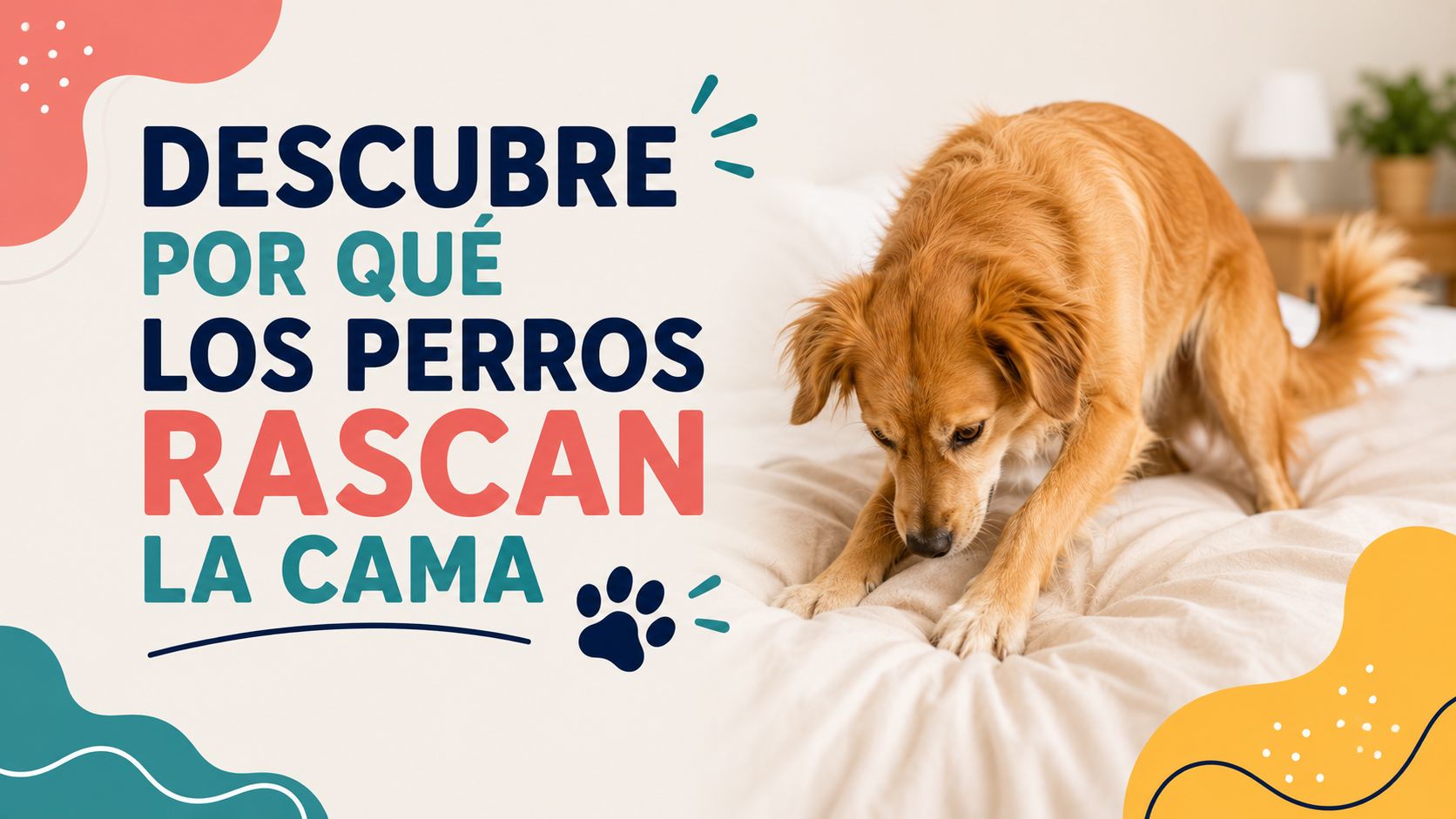 Descubre por qué los perros rascan la cama