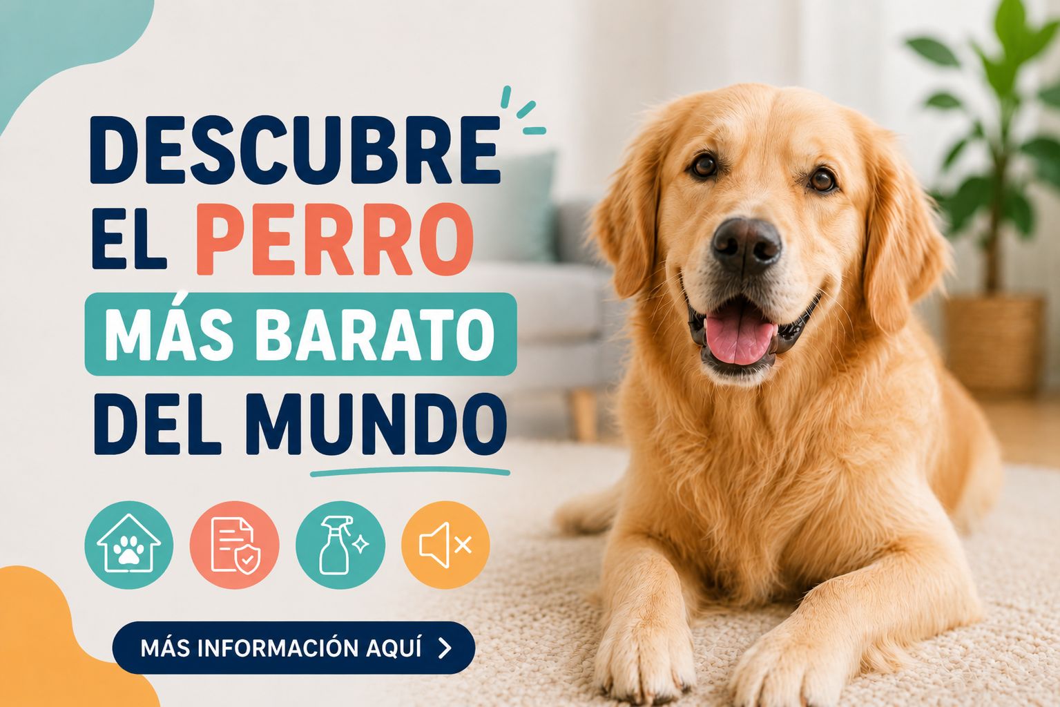 Alivio para mi perro con dolor en la parte trasera