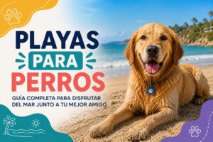 Playas para perros Playas para perros