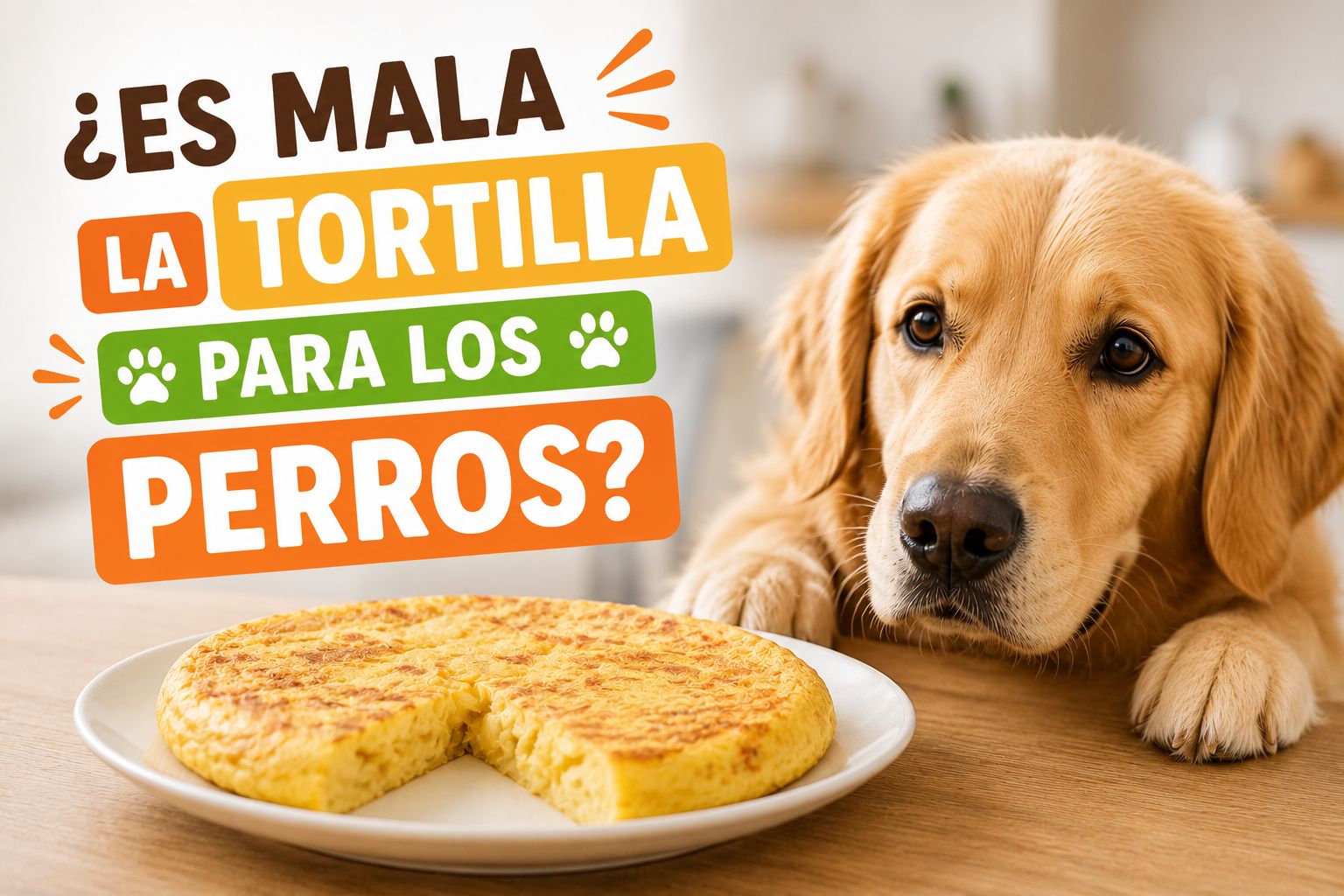 ¿Es mala la tortilla para los perros?
