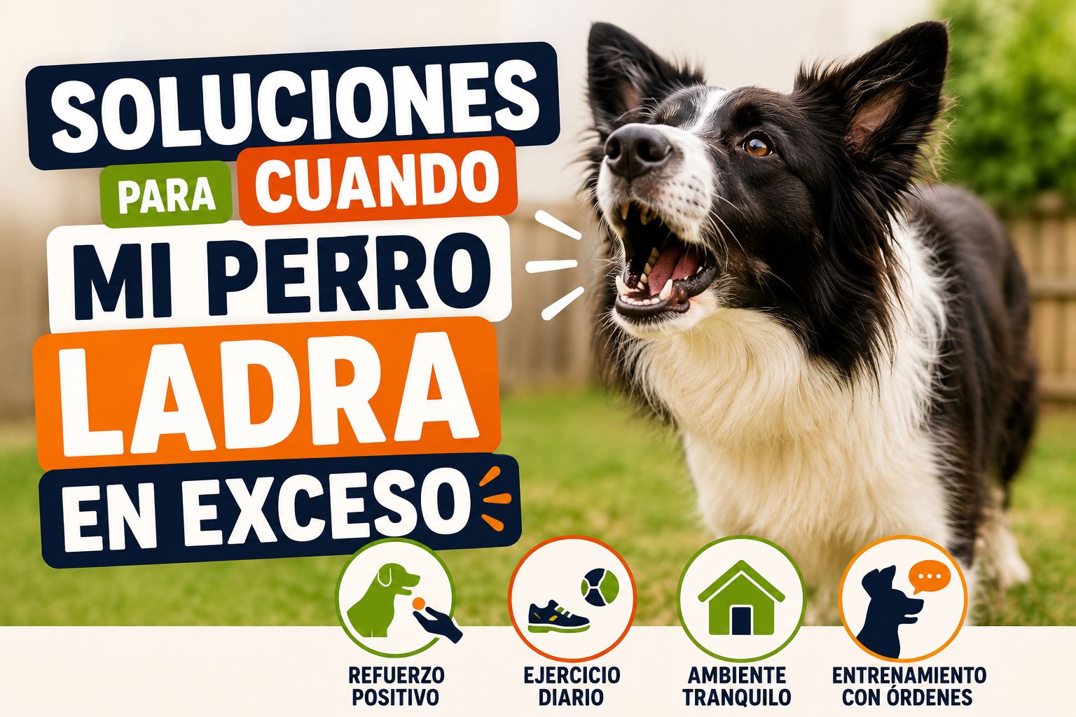 Soluciones para cuando mi perro ladra en exceso