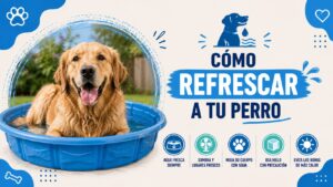 Cómo refrescar a un perro