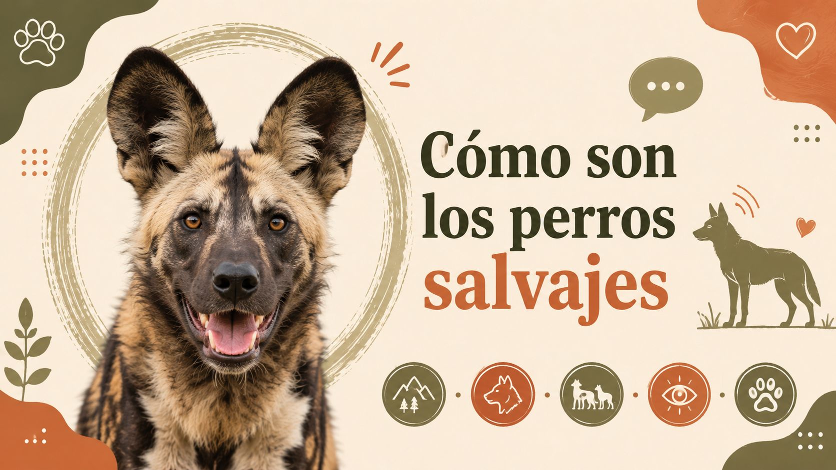 Cómo son los perros salvajes