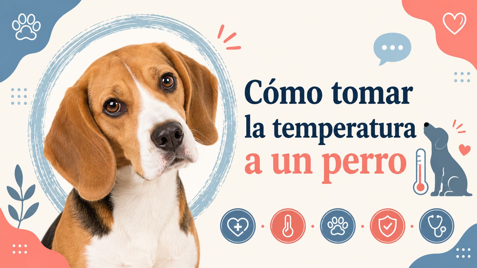Cómo tomar la temperatura a un perro
