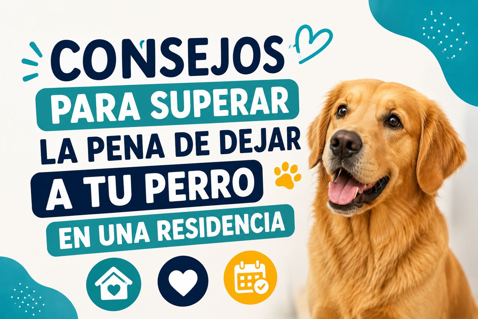 Consejos para superar la pena de dejar a mi perro en una residencia