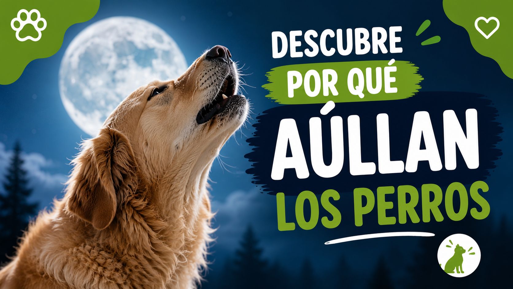 Descubre por qué aúllan los perros