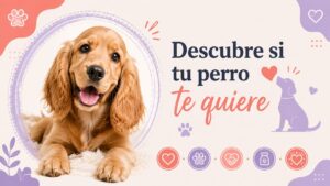 Descubre si tu perro te quiere Descubre si tu perro te quiere