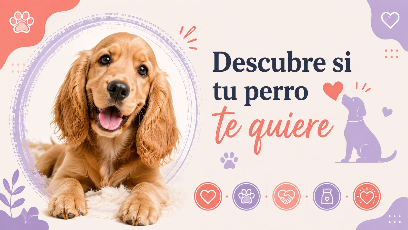 Descubre si tu perro te quiere