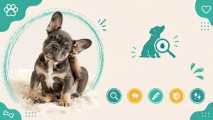 Descubre si tu perro tiene pulgas