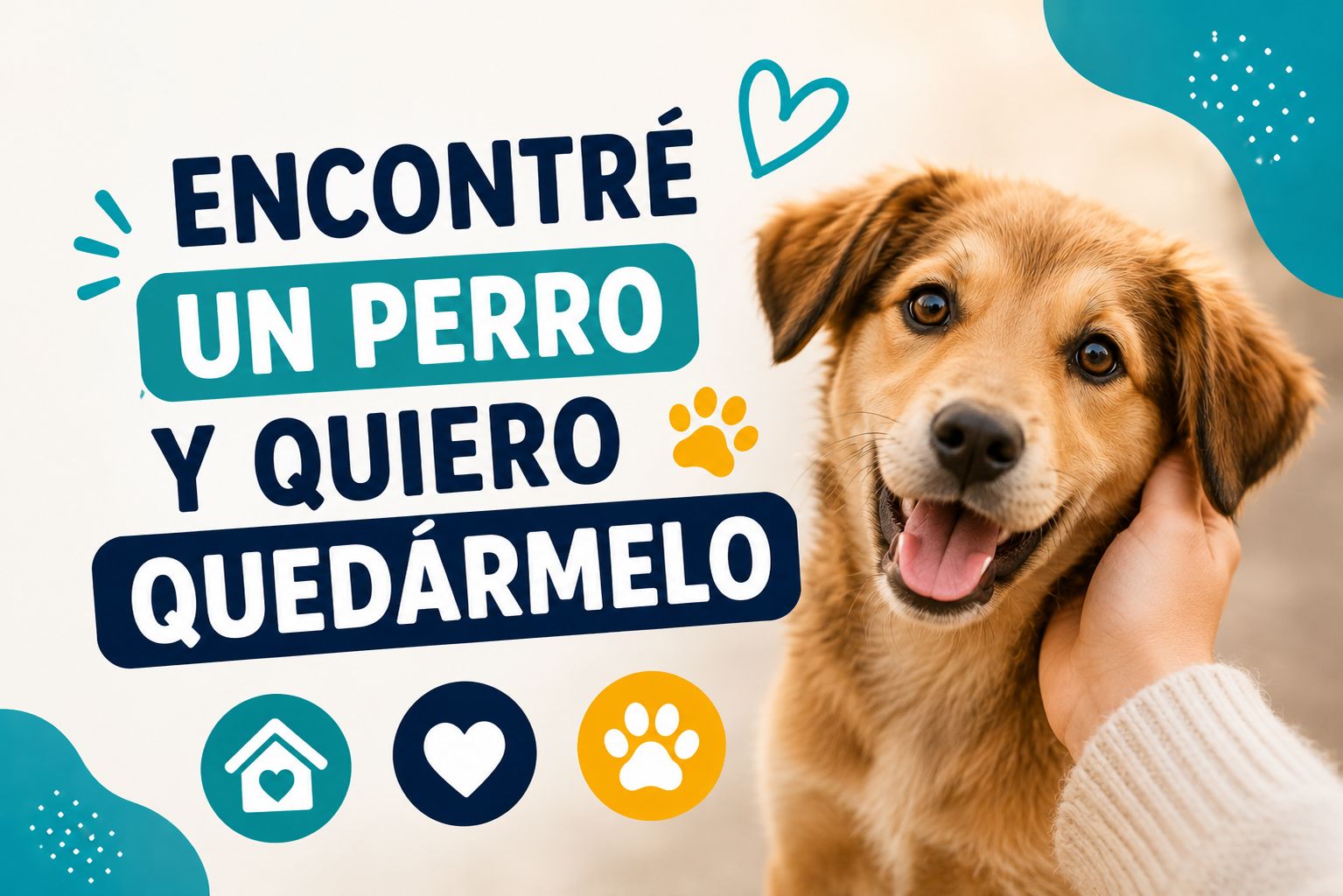 Encontré un perro y quiero quedármelo