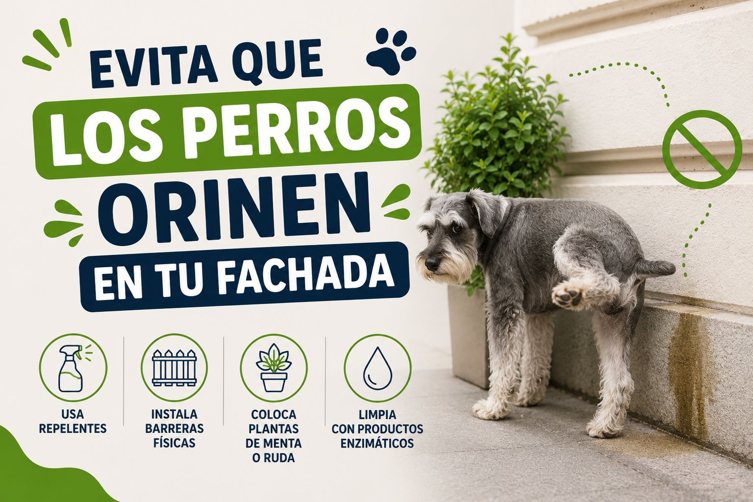 Evita que los perros orinen en tu fachada