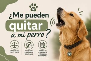 ¿Me pueden quitar a mi perro por ladrar? ¿Me pueden quitar a mi perro por ladrar?