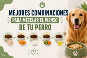 Mejores combinaciones para mezclar el pienso de mi perro