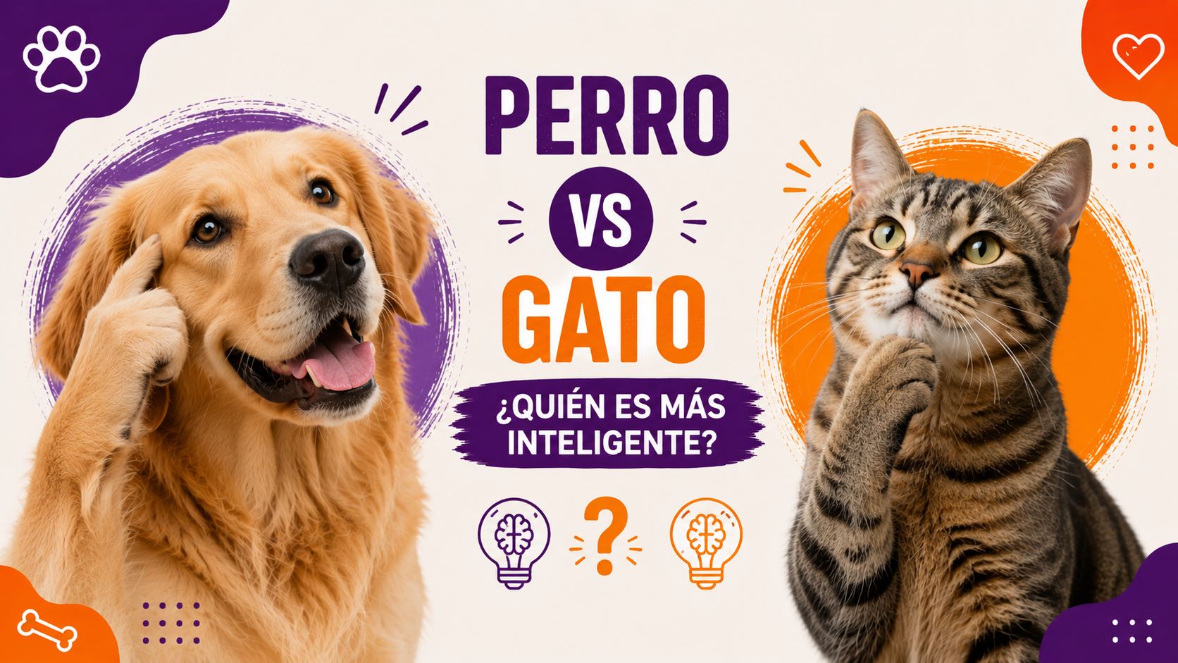 Perro vs Gato: ¿Quién es más inteligente?