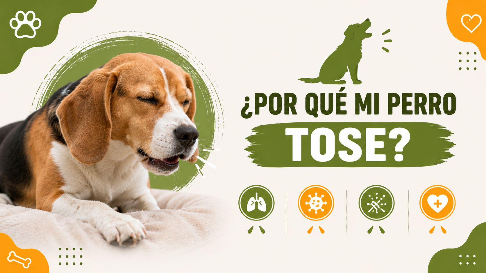 Por qué mi perro tose