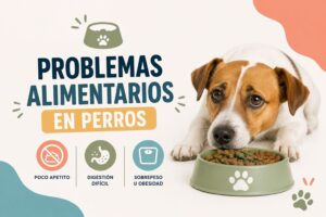 Problemas alimentarios en perros Las verrugas en los perros son una de esas cosas que muchos cuidadores descubren de pronto, mientras acarician al animal o le cepillan el pelo, y que