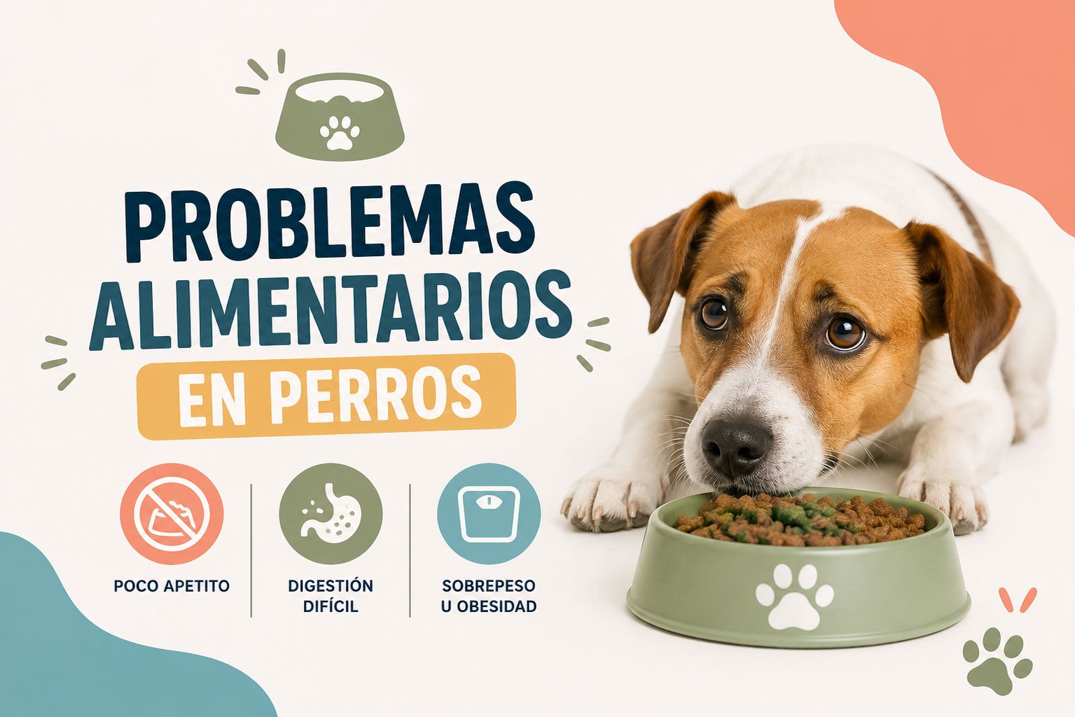 Problemas alimentarios en perros Las verrugas en los perros son una de esas cosas que muchos cuidadores descubren de pronto, mientras acarician al animal o le cepillan el pelo, y que