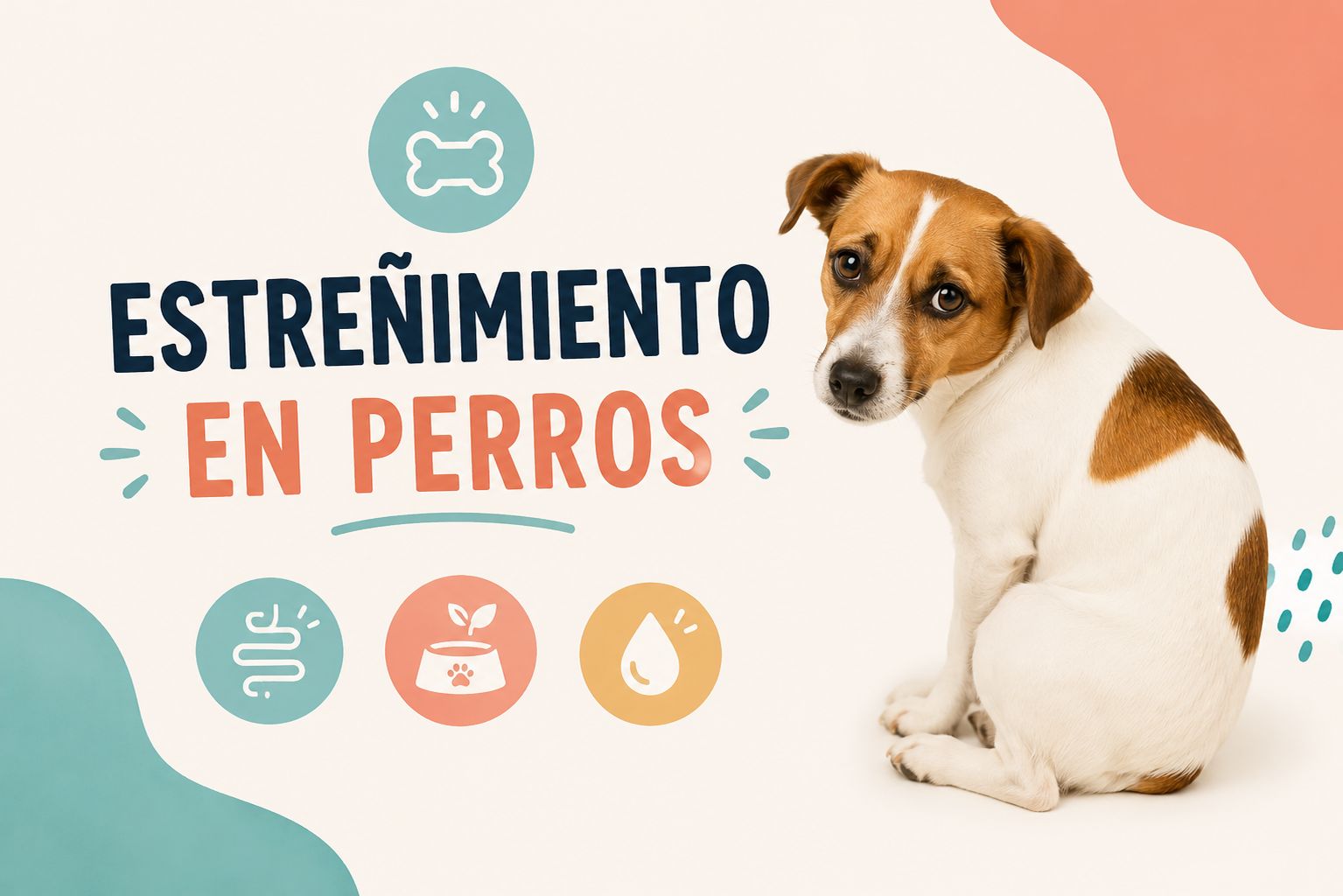 Problemas de estreñimiento en perros