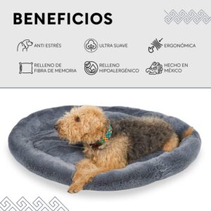 es-higienico-lavar-la-cama-del-perro-en-la-lavadora-descubre-los-beneficios
