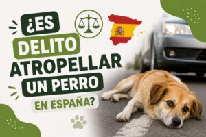 ¿Es delito atropellar un perro en España?