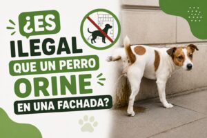 ¿Es ilegal que un perro orine en una fachada?