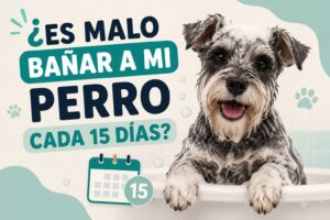 ¿Es malo bañar a mi perro cada 15 días?