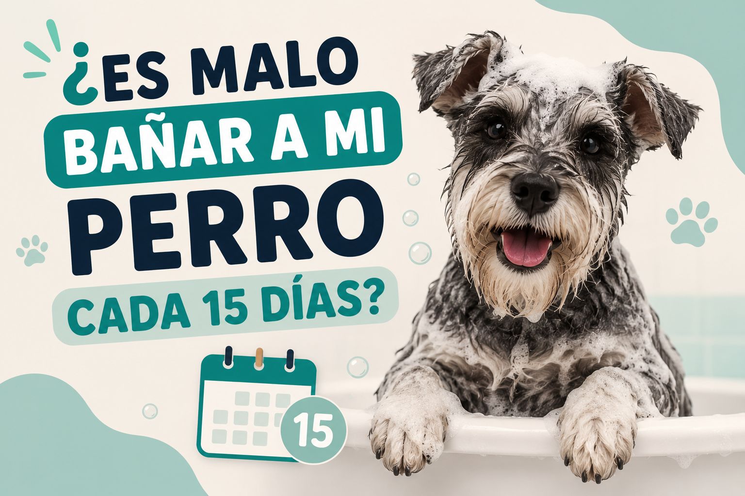 ¿Es malo bañar a mi perro cada 15 días?