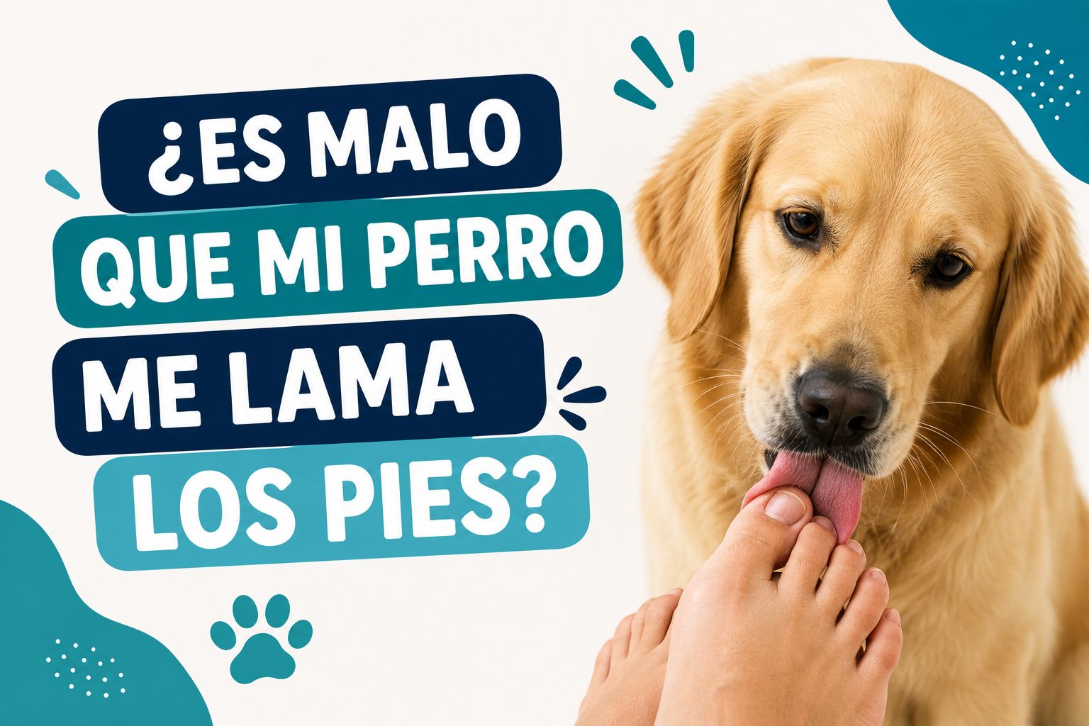 ¿Es malo que mi perro me lama los pies?