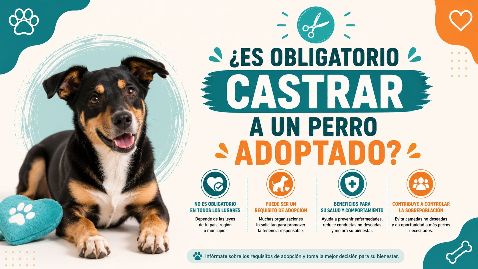 ¿Es obligatorio castrar a un perro adoptado?