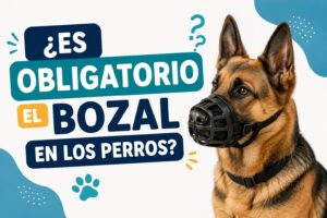 ¿Es obligatorio el bozal en los perros?