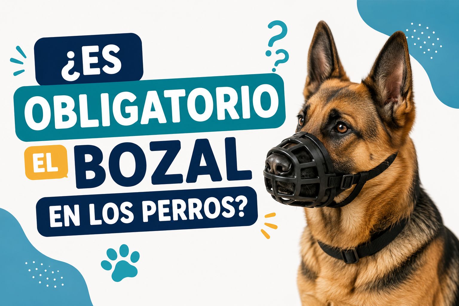¿Es obligatorio el bozal en los perros?