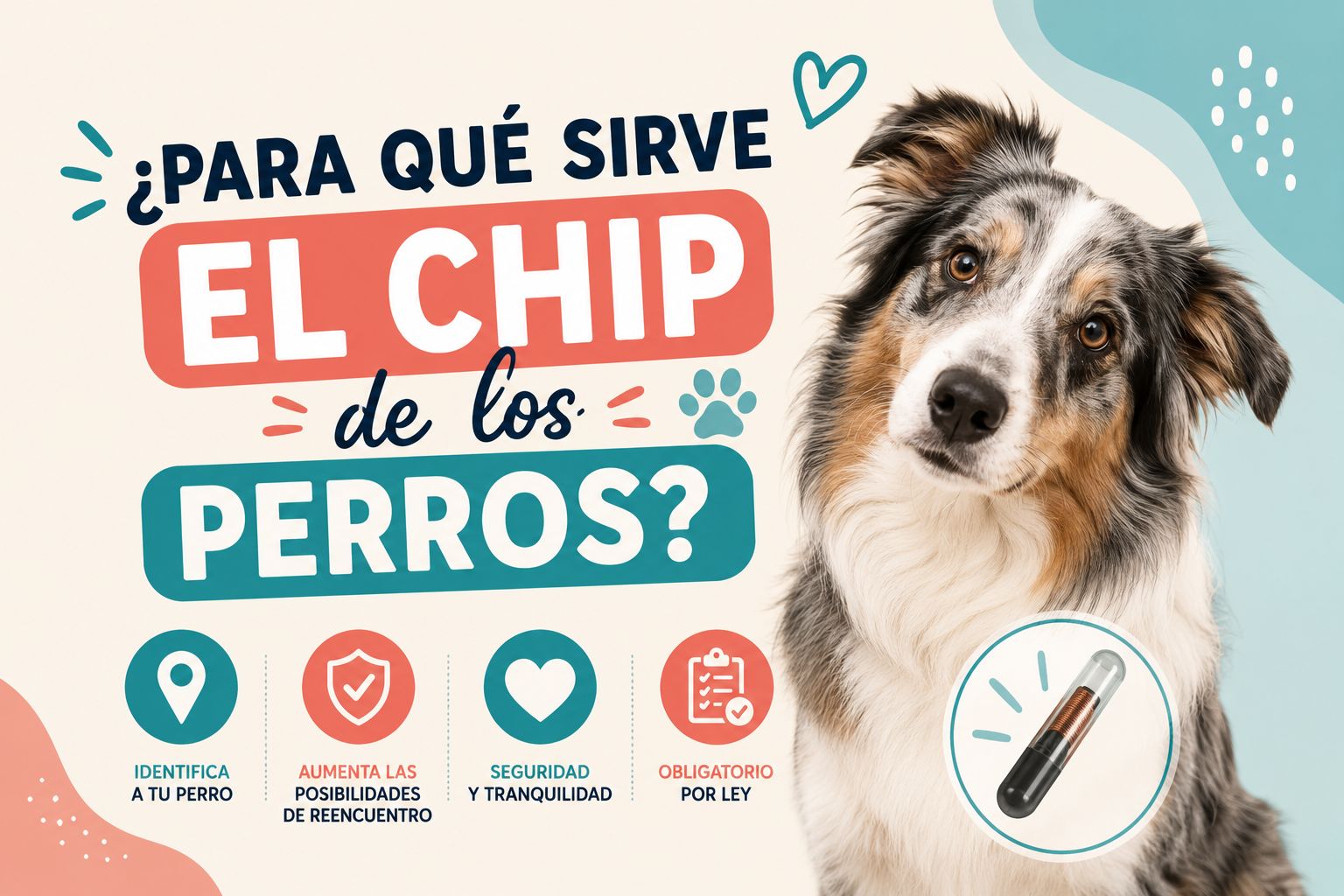 ¿Para qué sirve el chip de los perros?