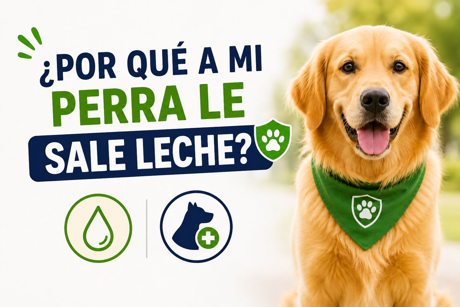 ¿Por qué a mi perra le sale leche?