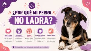 ¿Por qué mi perra no ladra? ¿Por qué mi perra no ladra