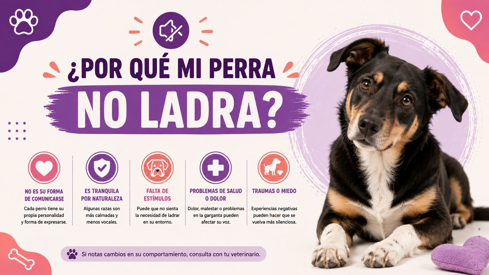 ¿Por qué mi perra no ladra
