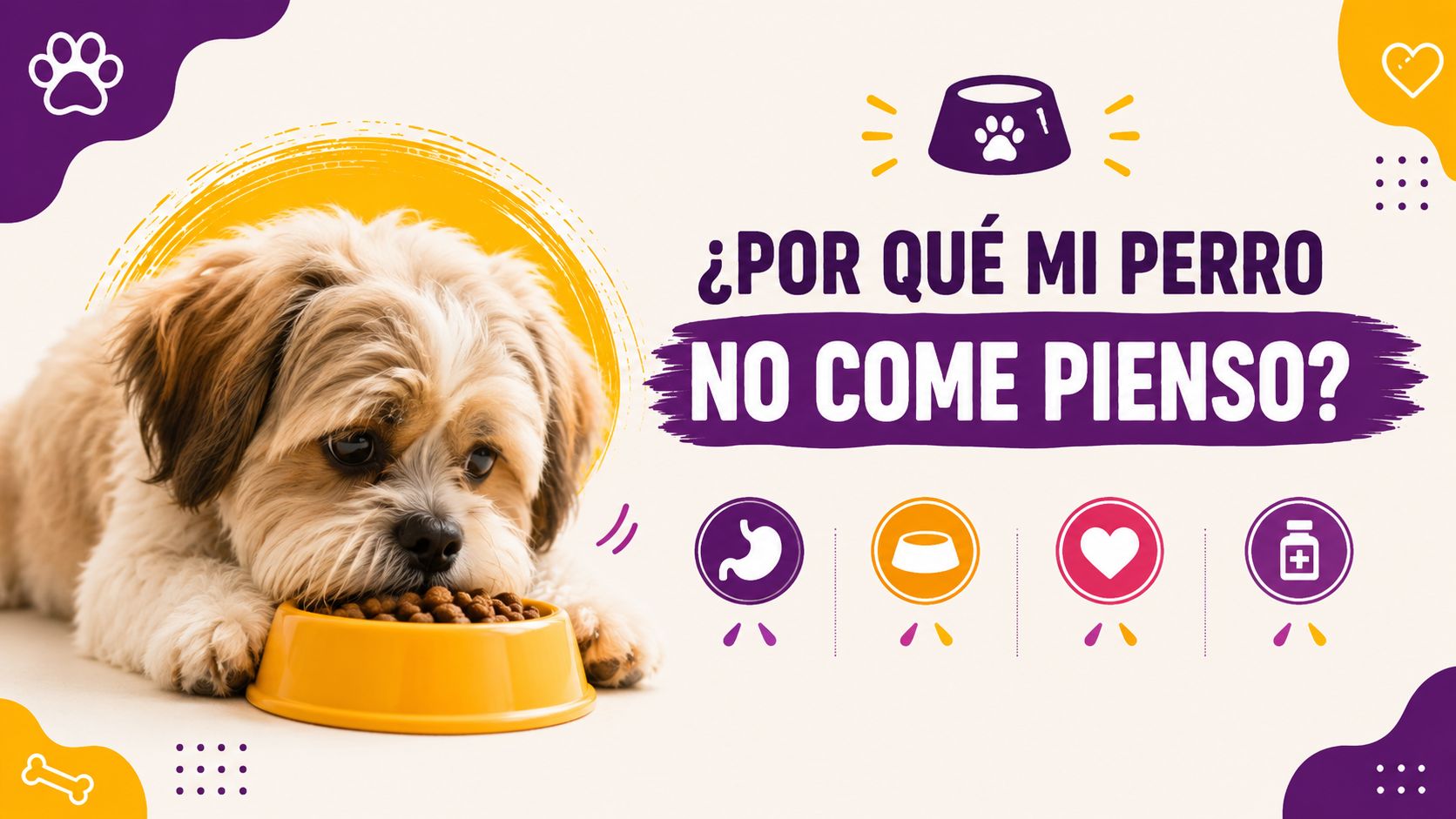 ¿Por qué mi perro no come pienso?
