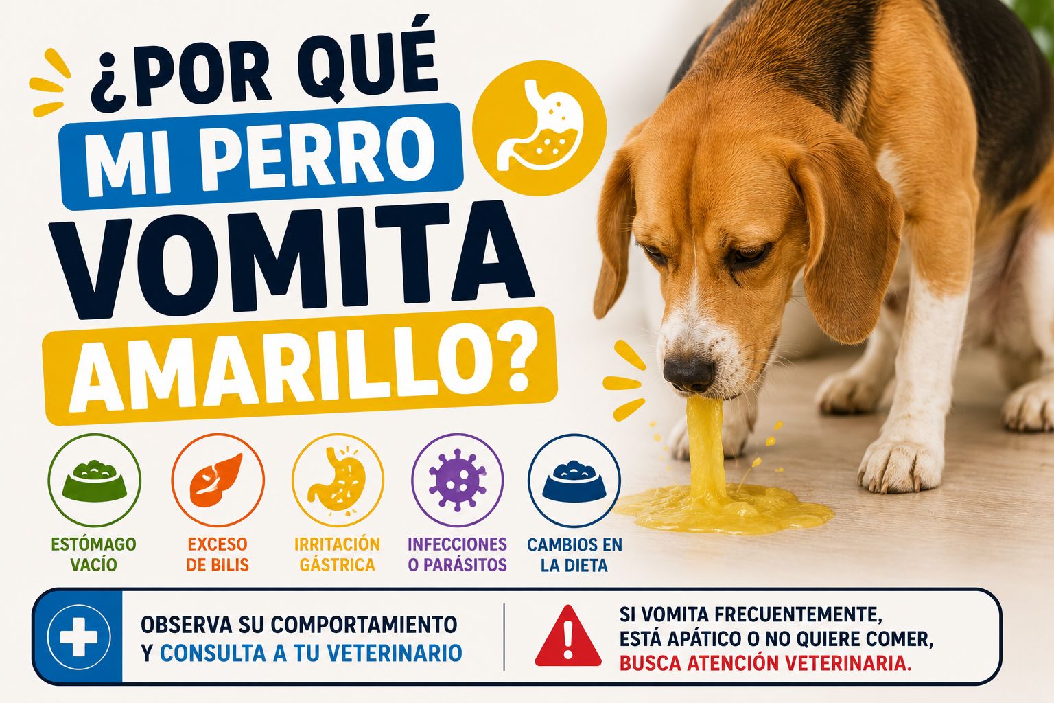 ¿Por qué mi perro vomita amarillo?