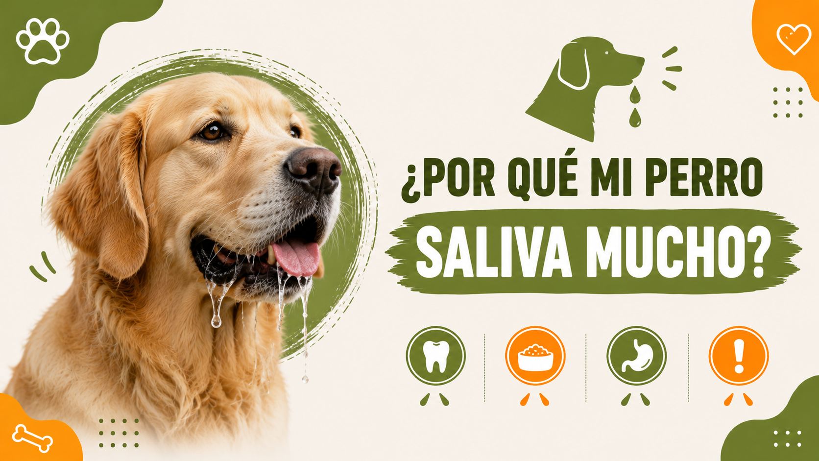 ¿Por qué saliva mucho mi perro?