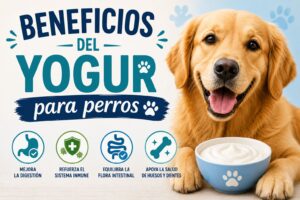 Beneficios del yogur para perros