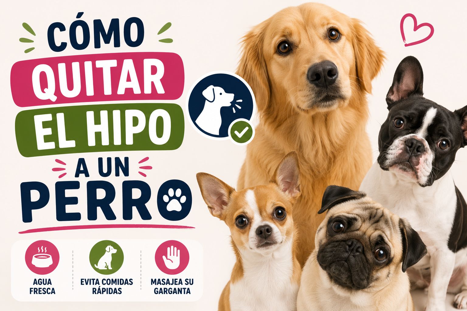 Cómo quitar el hipo a un perro