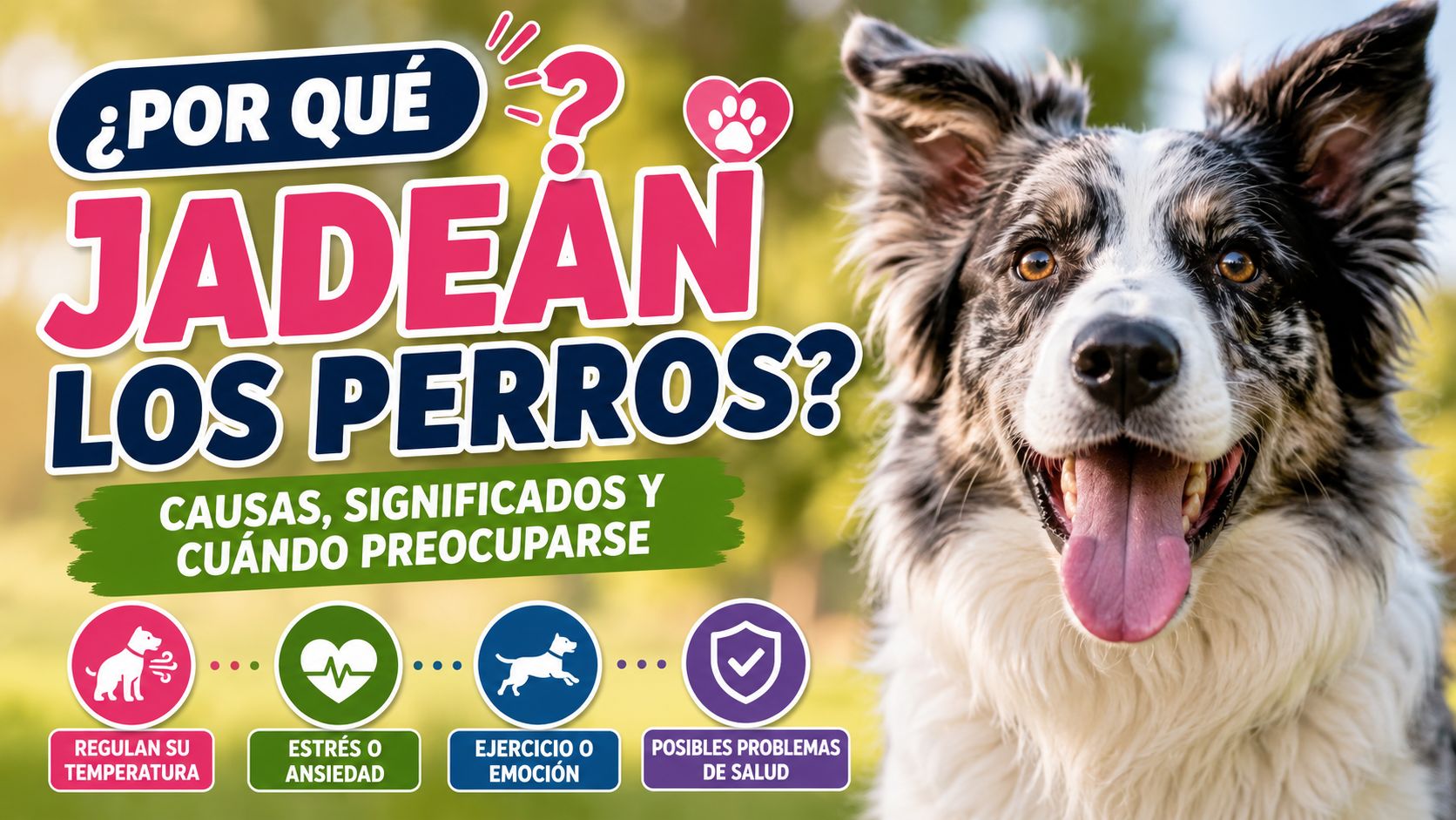 Por qué jadean los perros