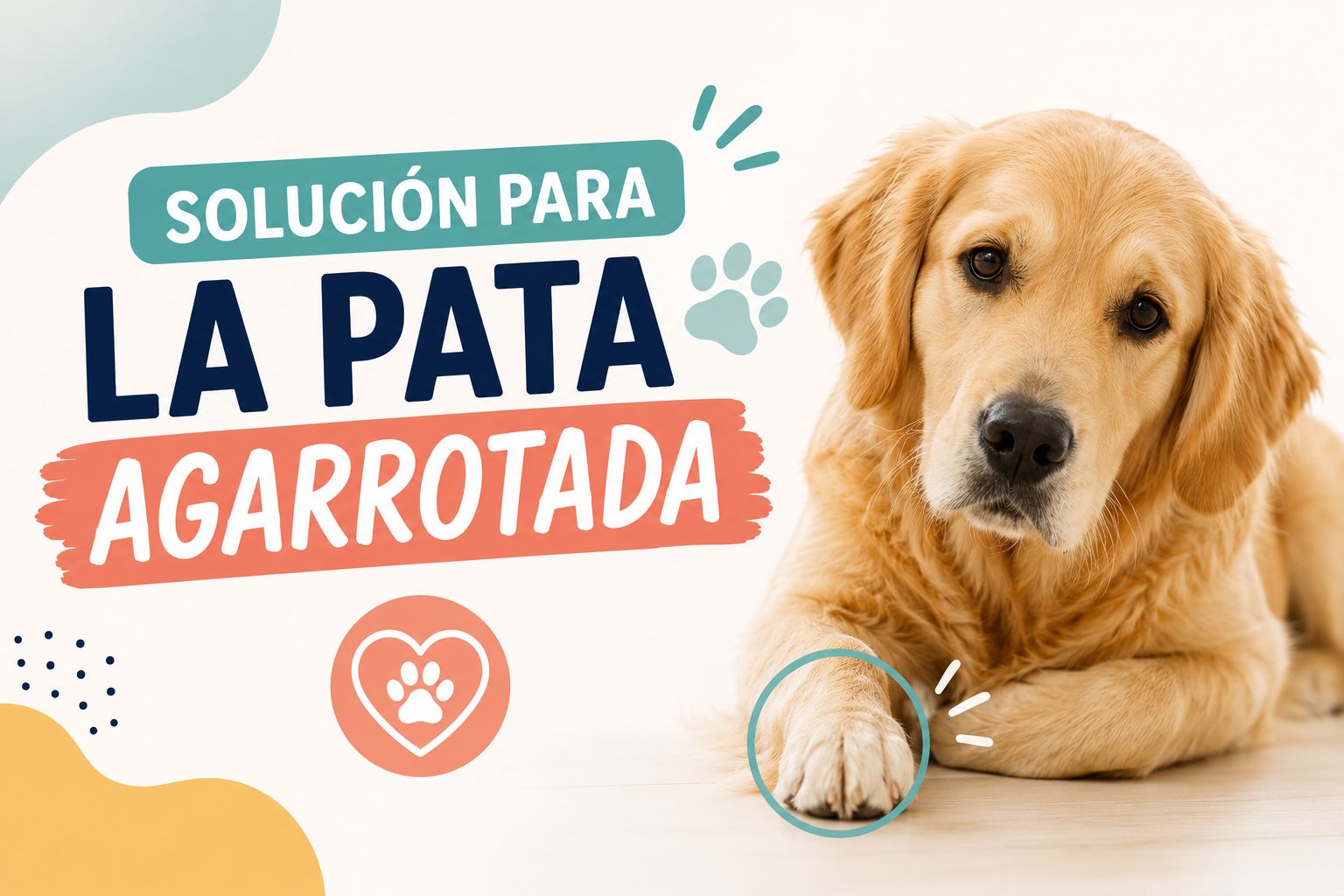 Solución para la pata agarrotada en perros