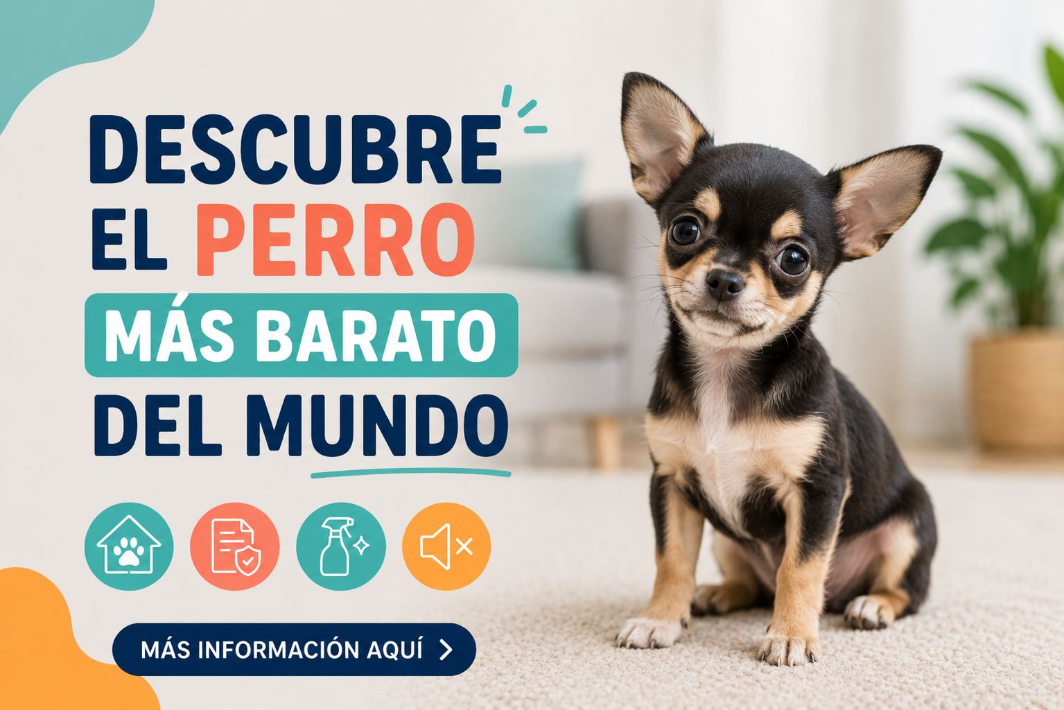 Descubre el perro más barato del mundo